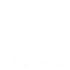 cropped kelme logo 482928.png