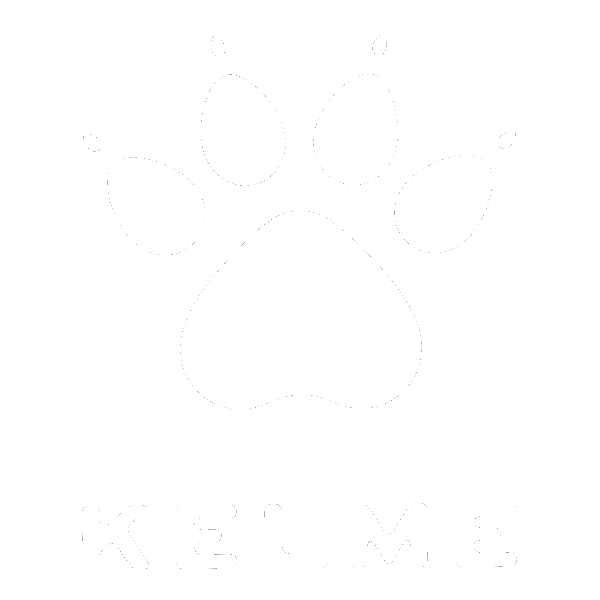 cropped kelme logo 482928.png